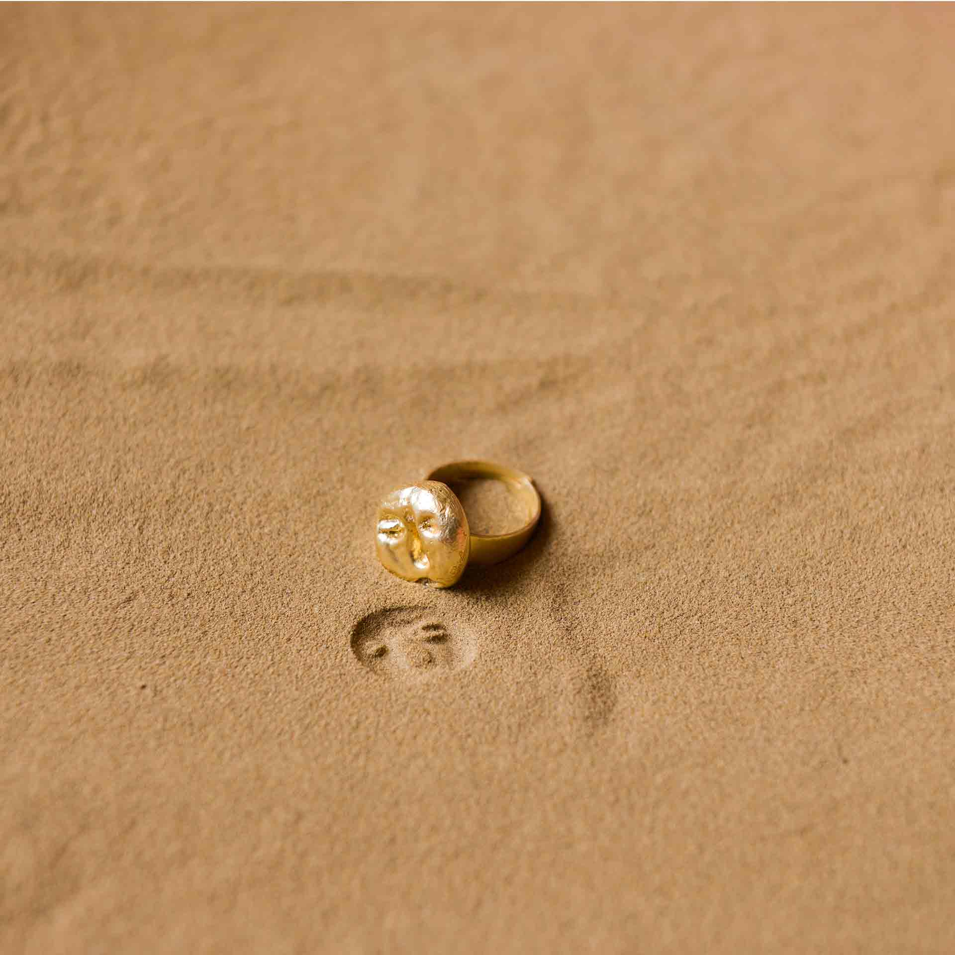 Fossil Ring Small - Amrrutam