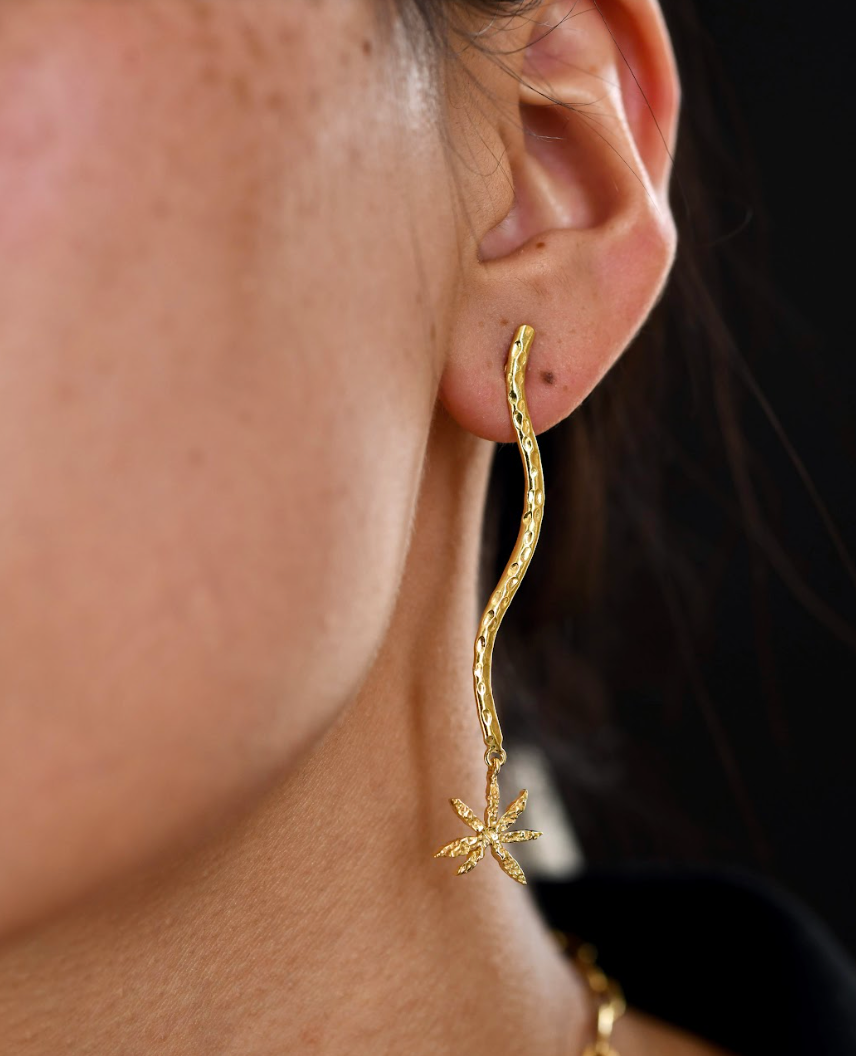 Moon & Star Dangle Earrings - Amrrutam